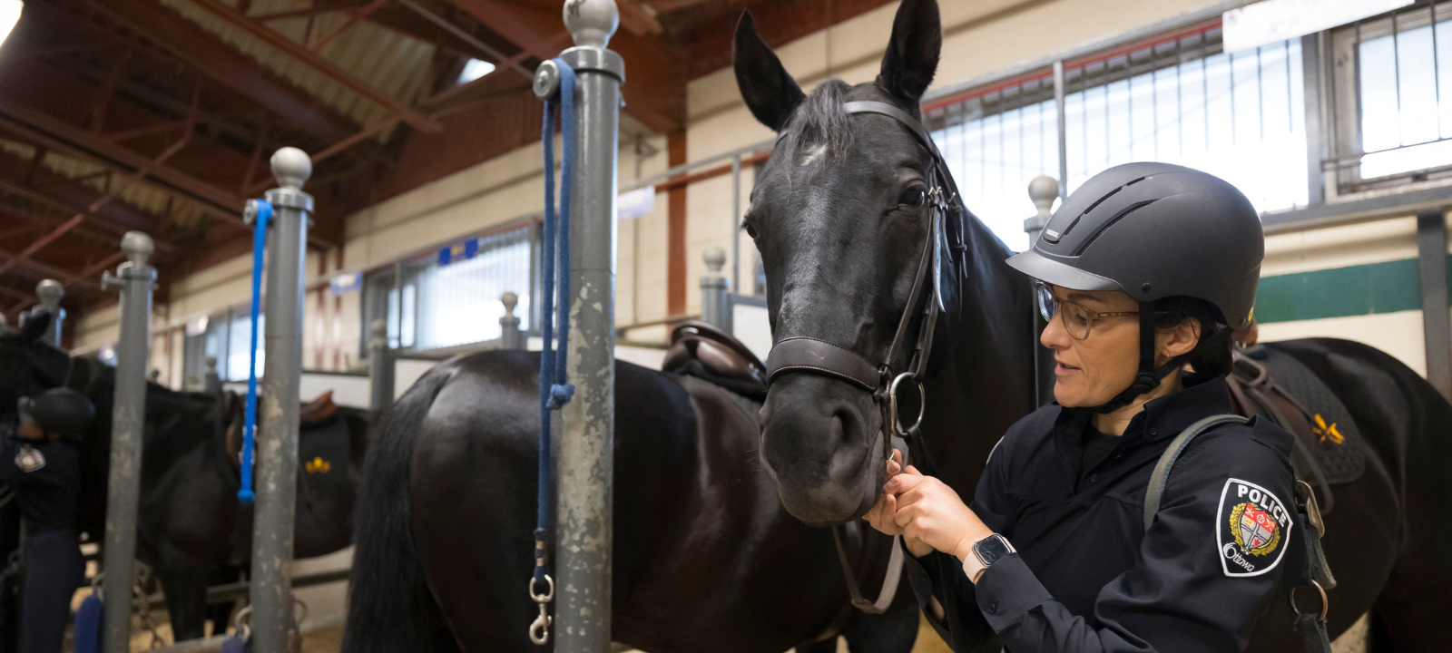 A police horse and a police officer from the Ottawa Police Mounted Unit